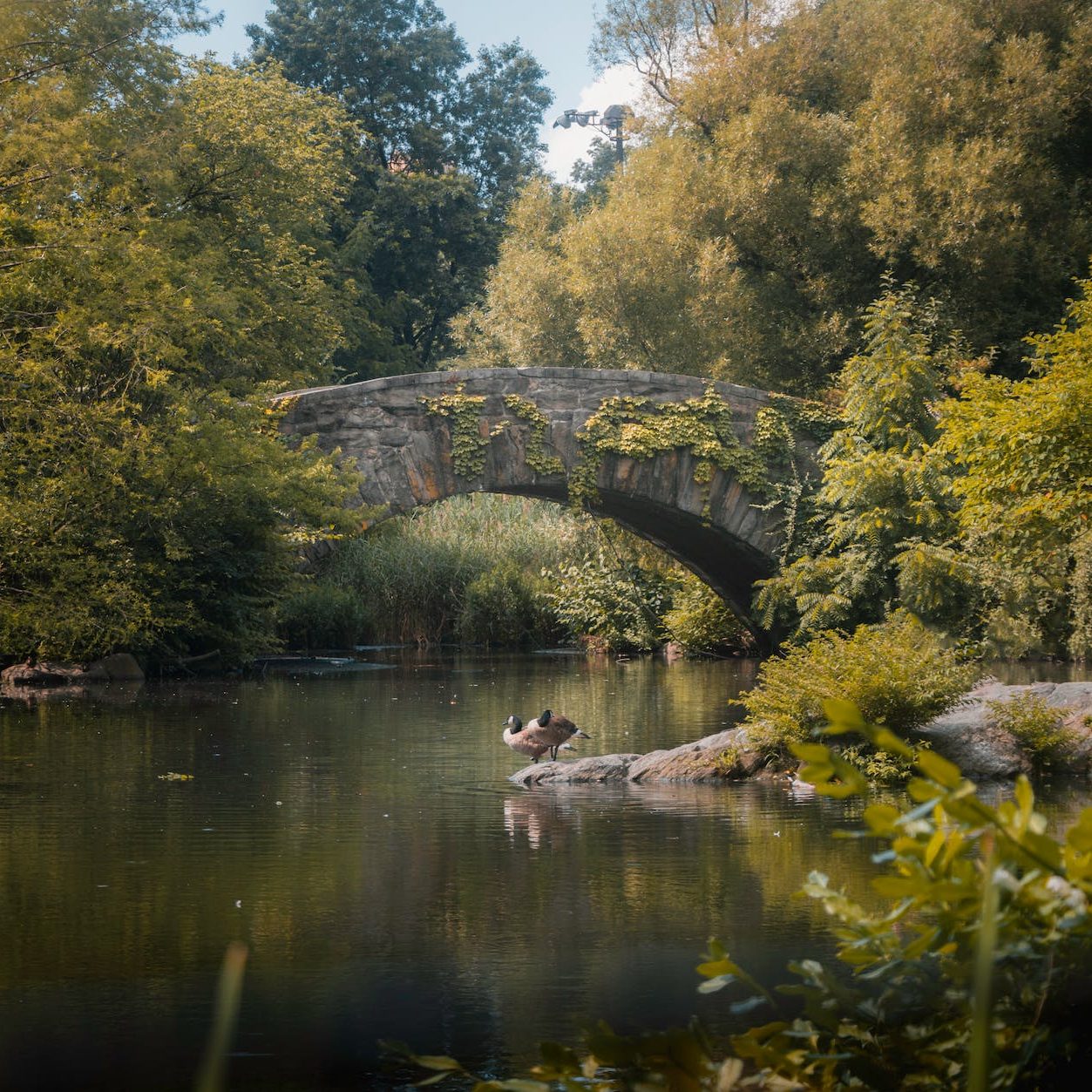 gapstow bridge new york usa