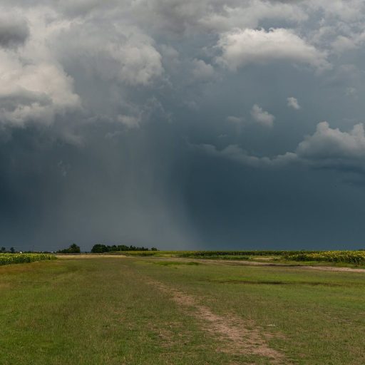 agricultural farmland landscape under dark clouds