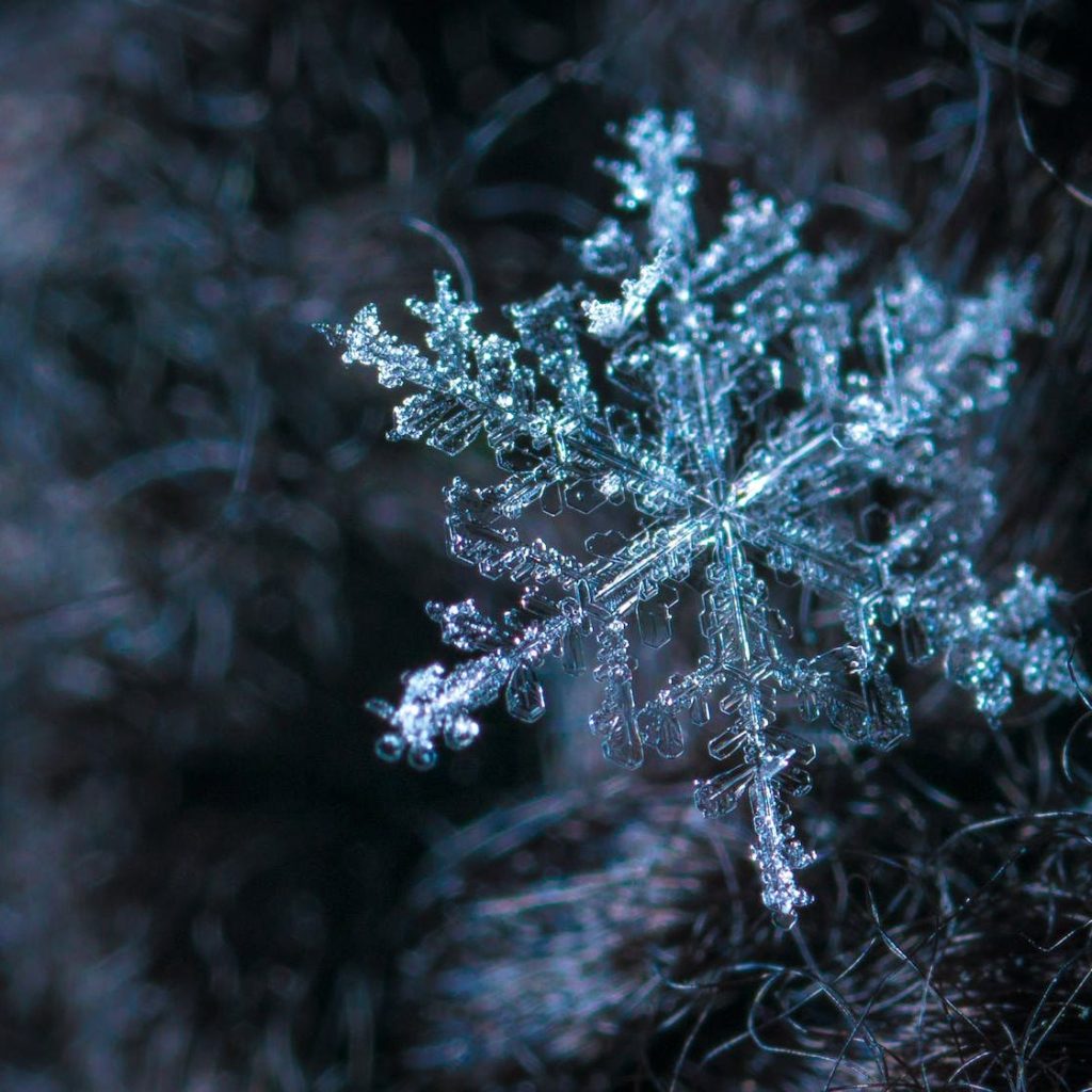 close up photography of snowflake