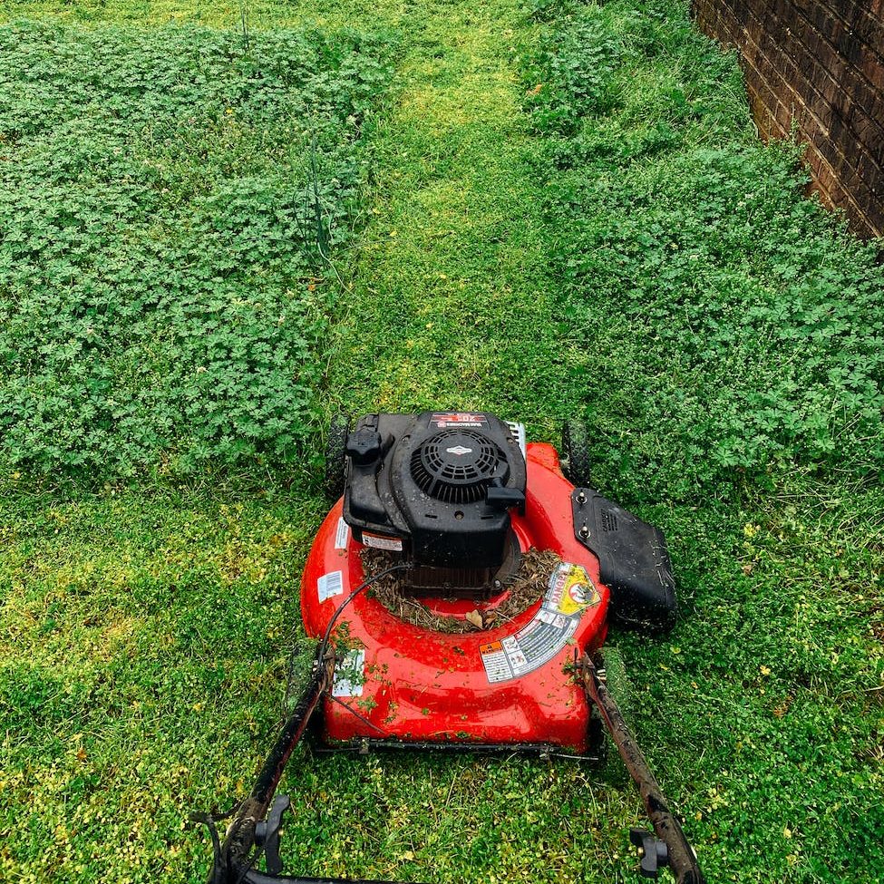 red lawn mower on grass