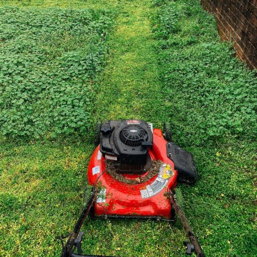 red lawn mower on grass