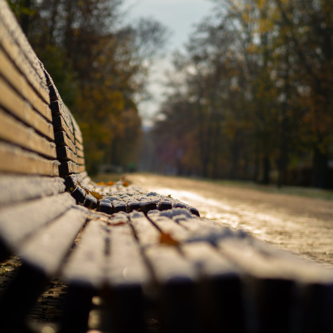 wooden benches with snow