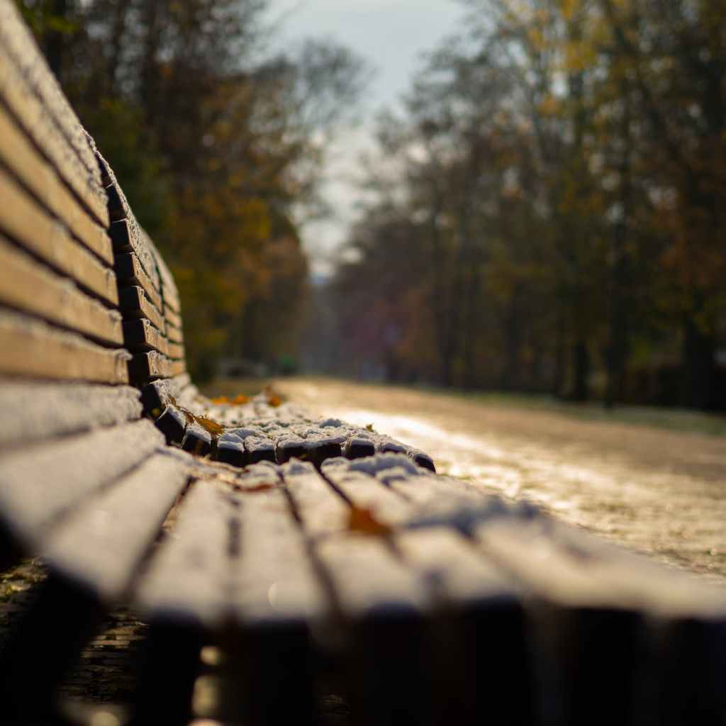 wooden benches with snow
